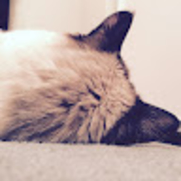 Meet your Posher, Yelena - Picture 1 of 1